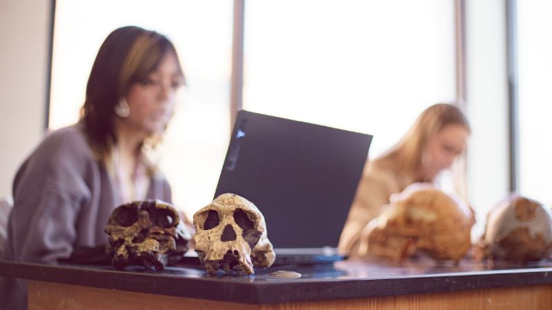 a photo of skulls in the foreground, students working in the background