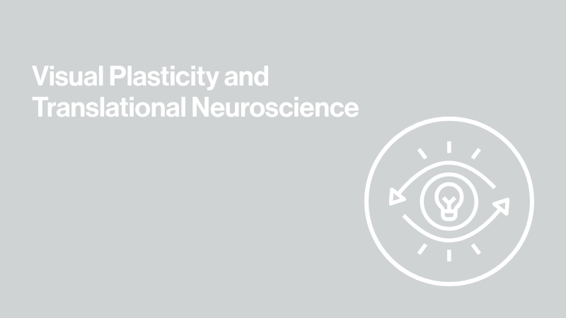gray background image with icon an eye and text that says visual plasticity and translational neuroscience