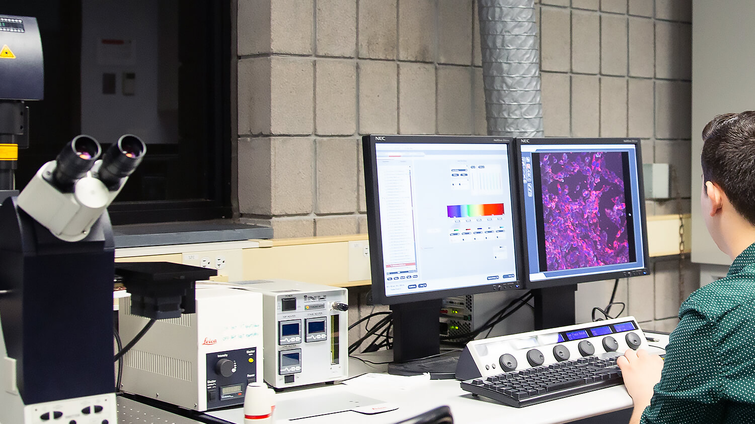 student working on computer in the confocal microscopy lab.