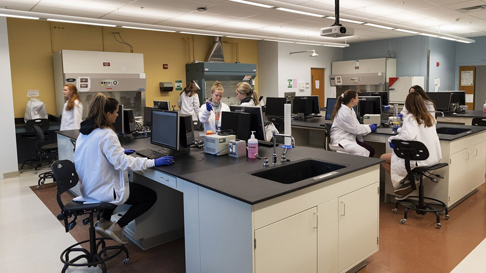 a lab with several students working on computers and with pipettes.