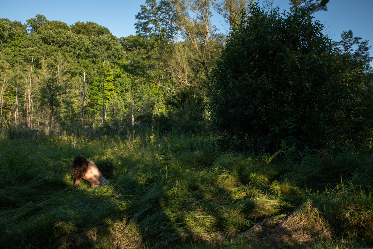 A naked person sits in tall grass amidst a forest.