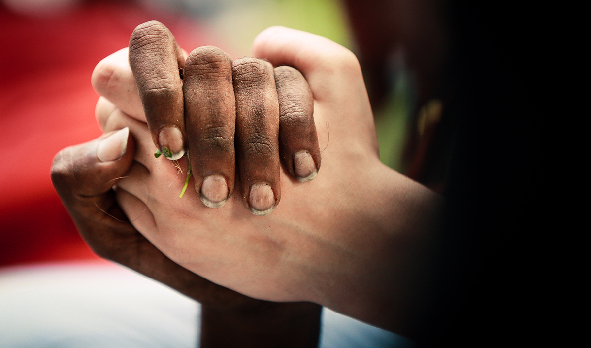 Two hands -- one white, one black -- join together.