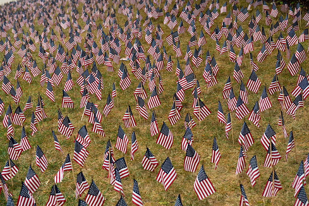 field of small American flags.