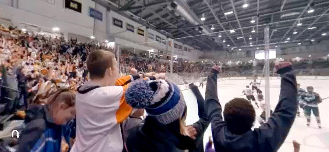 fans at hockey game.