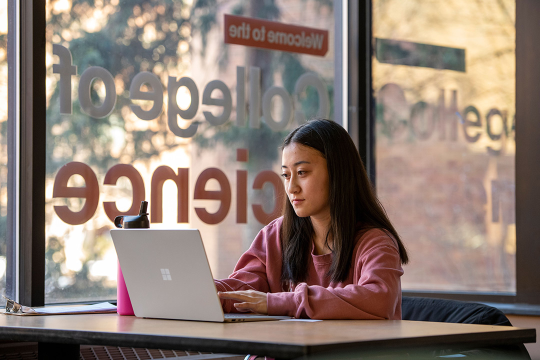 college student working on a laptop.