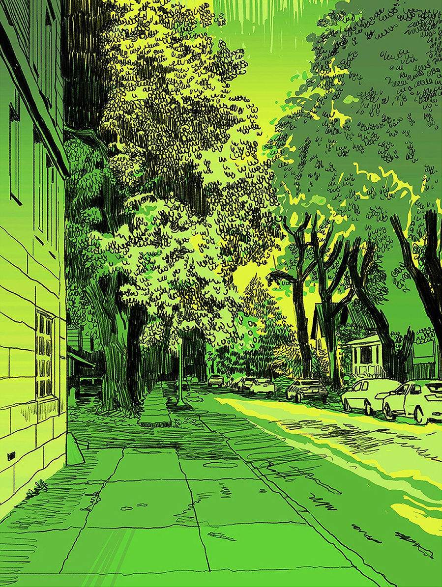 An illustration of a street lined with cars and houses, all in green.