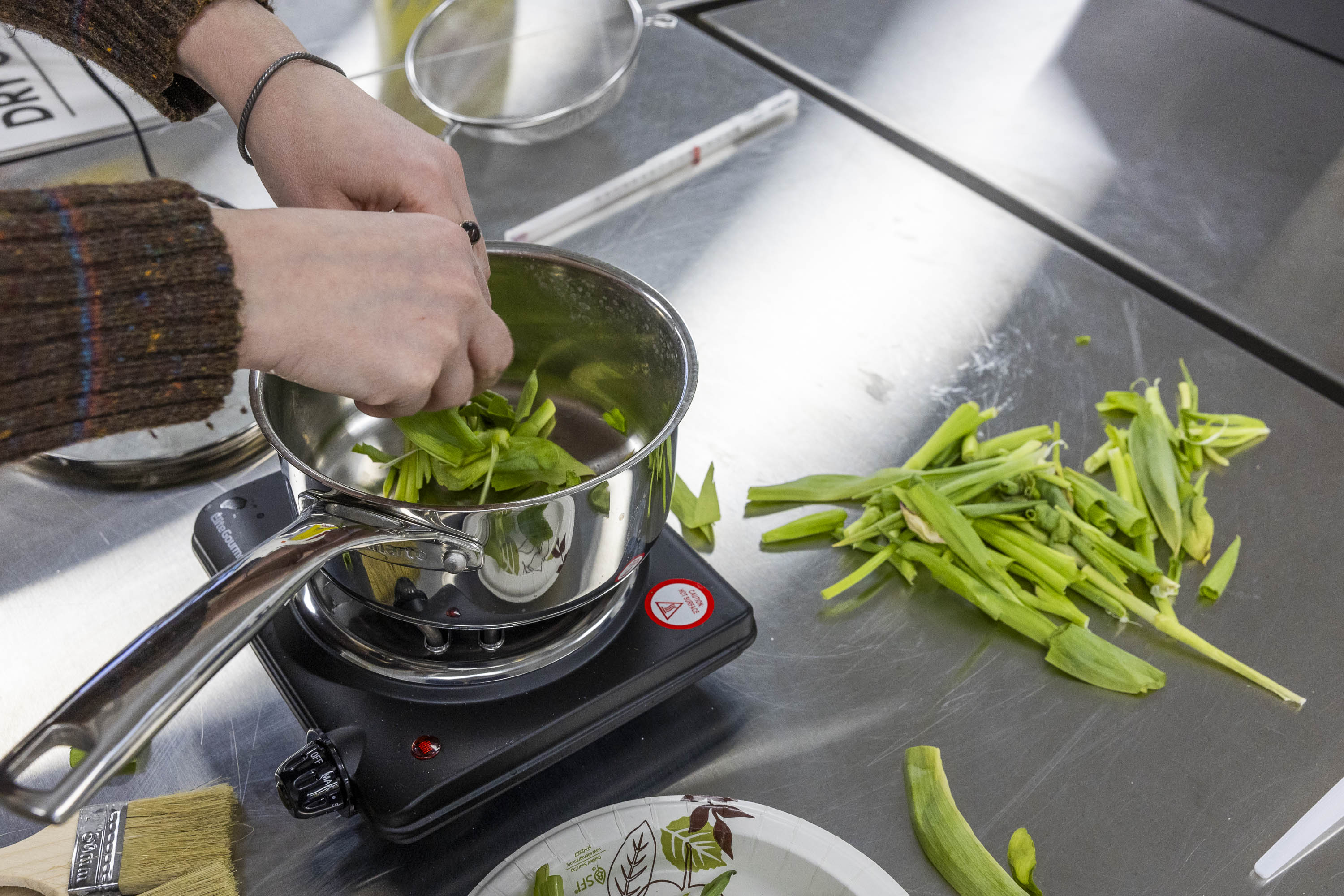 Student place plants in sauce pans.