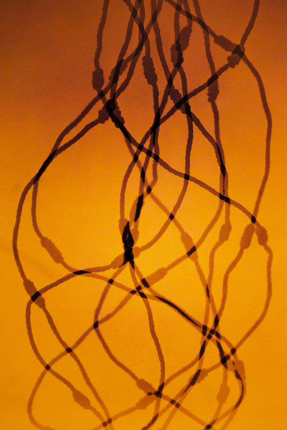 Shadows of string make the appearance of movement.
