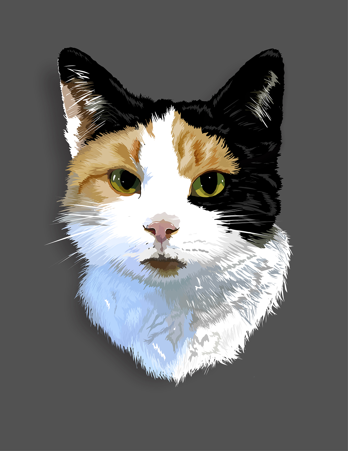 An illustration of a white, black and brown cat.