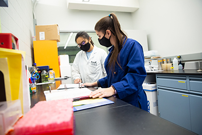 A Laboratory Technician Assistant, examining notebooks