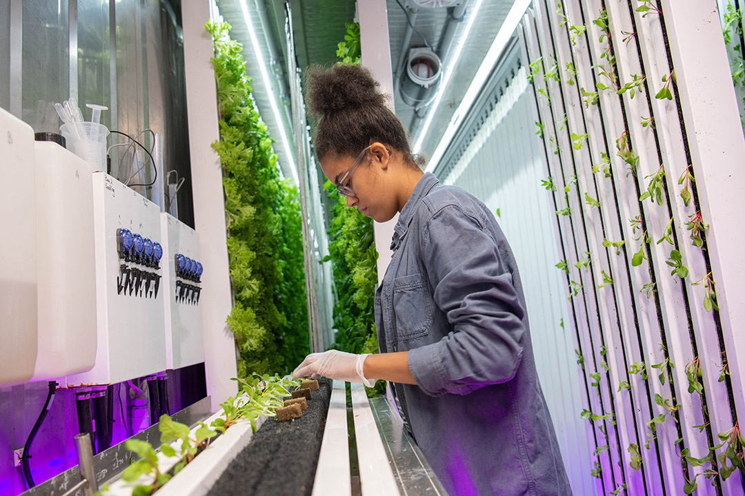 Student stands in hydroponic farm-in-a-box.