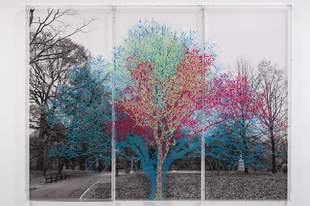 artwork of colorful outlines of a tree layered over each other.