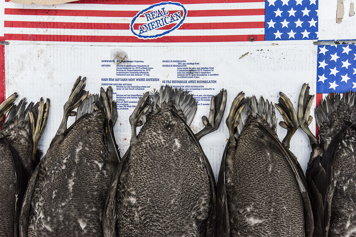 Freshly killed ducks for sale are displayed on a chalkboard for "Real American hamburger buns." The photo was taken as part of Denis Defibaugh's NSF grant.