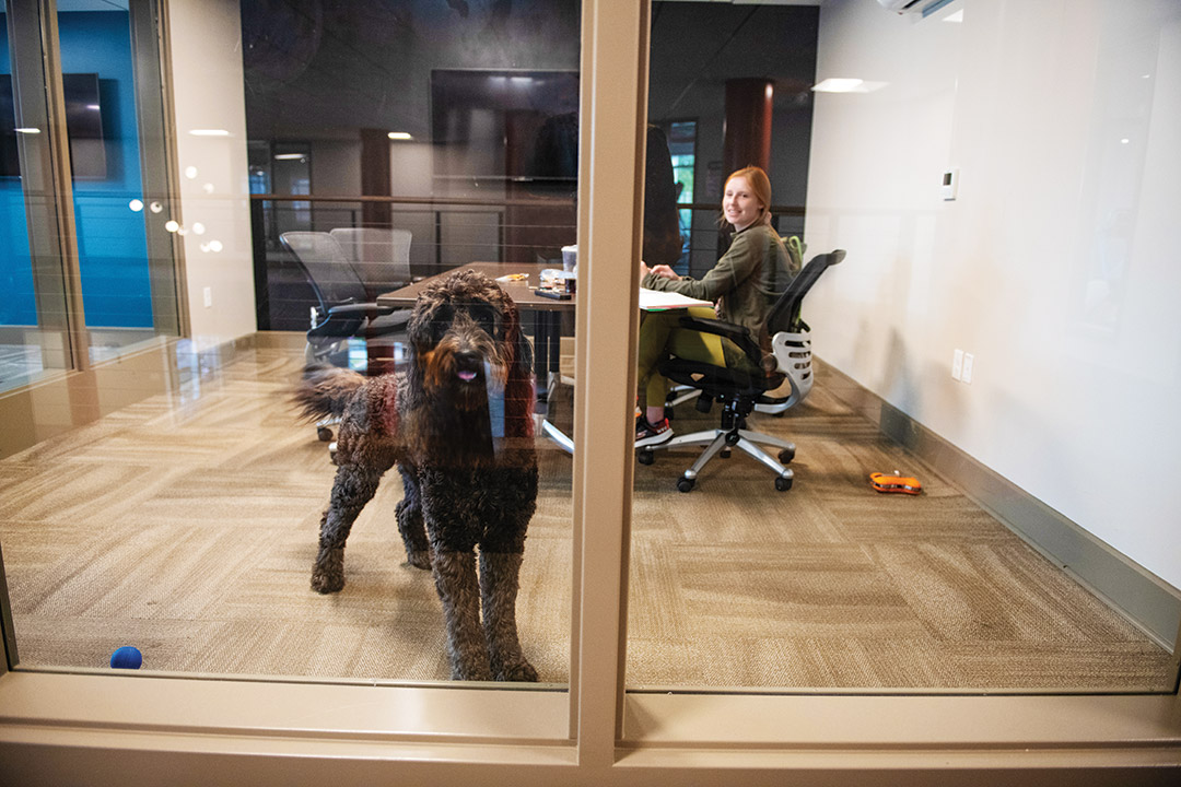 woman in a study room with her dog.