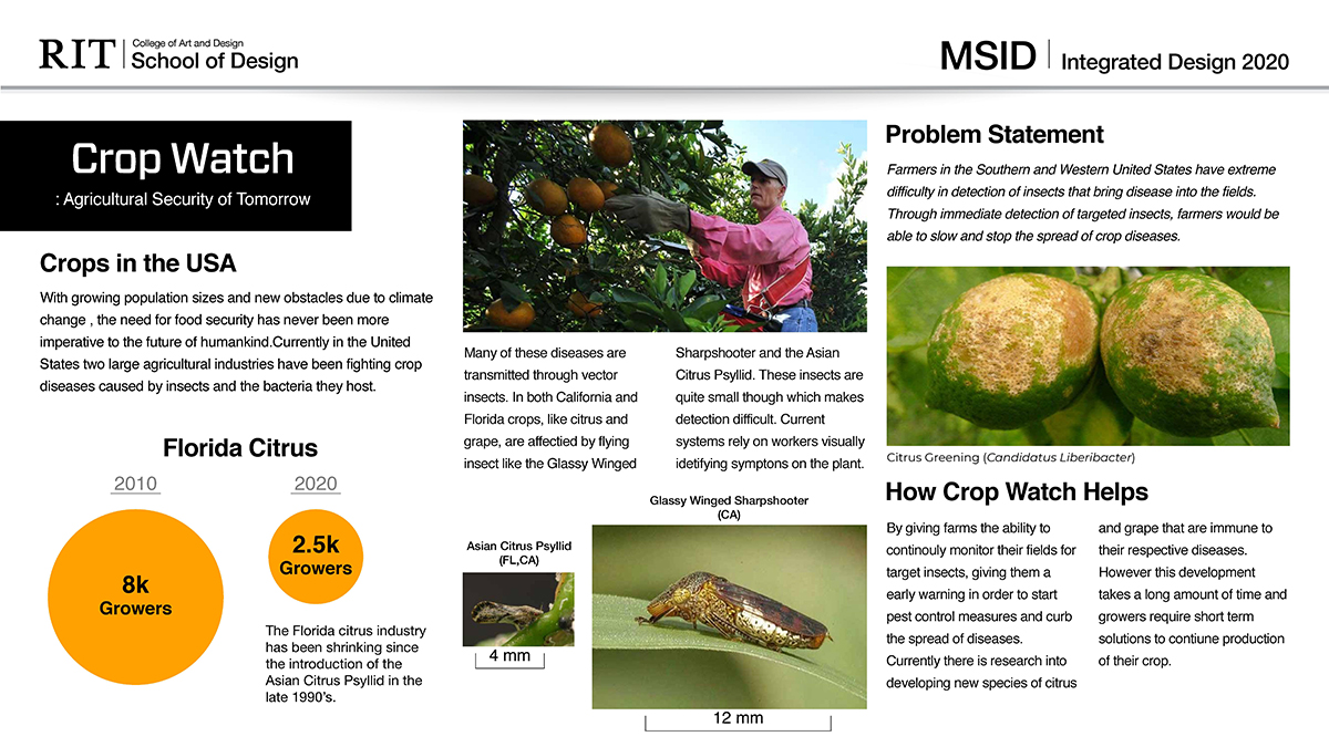A poster explaining a system for identifying insects in crops.