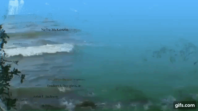gif of interactive art work where names appear in a blue lake.