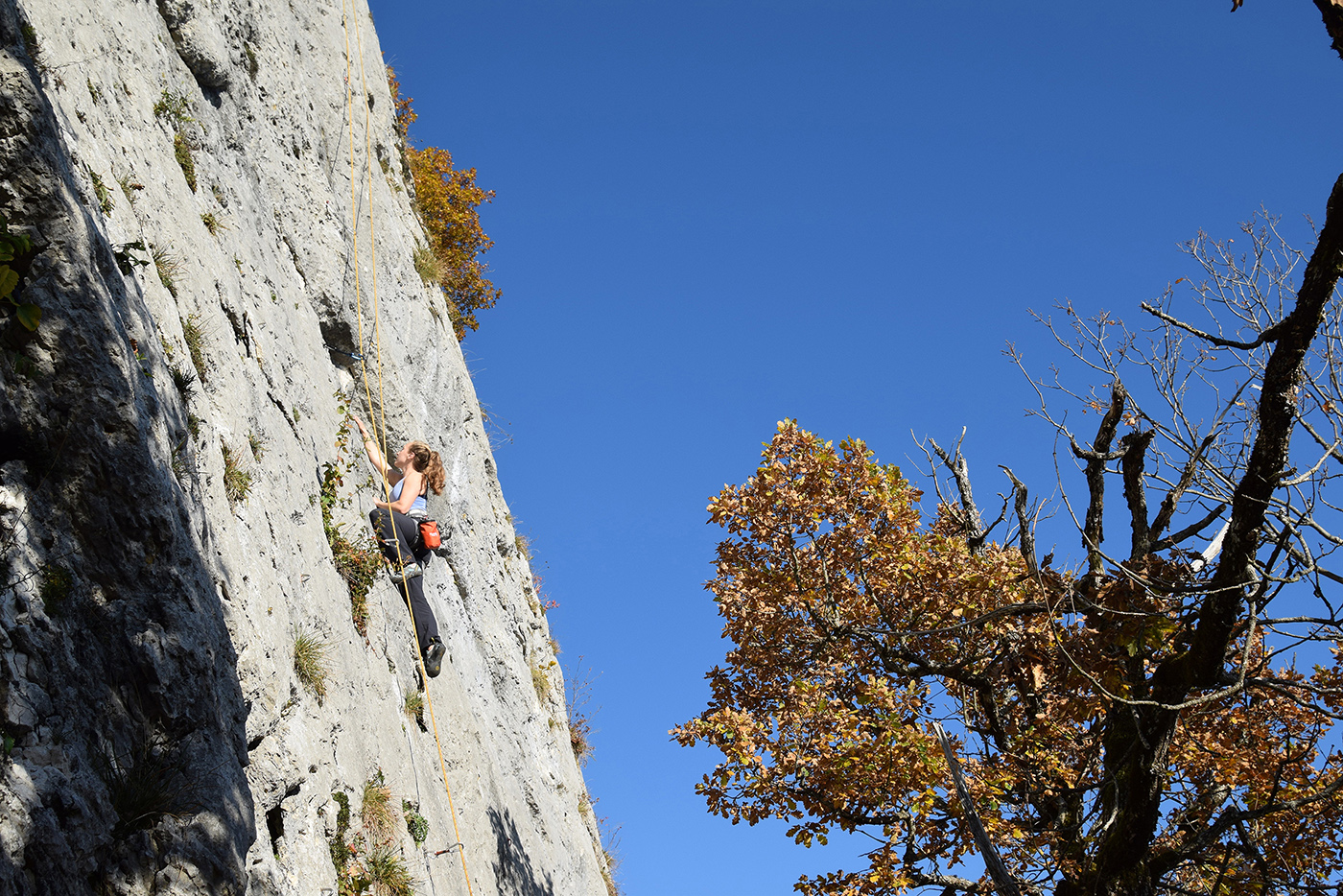 Women rock climbing on a large rockface