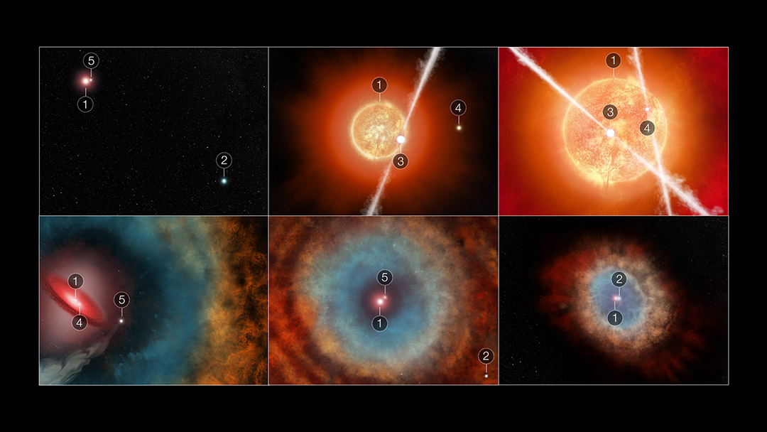 six images of stars, two that are bright orange and three that show red, blue, orange and yellow dust rings.