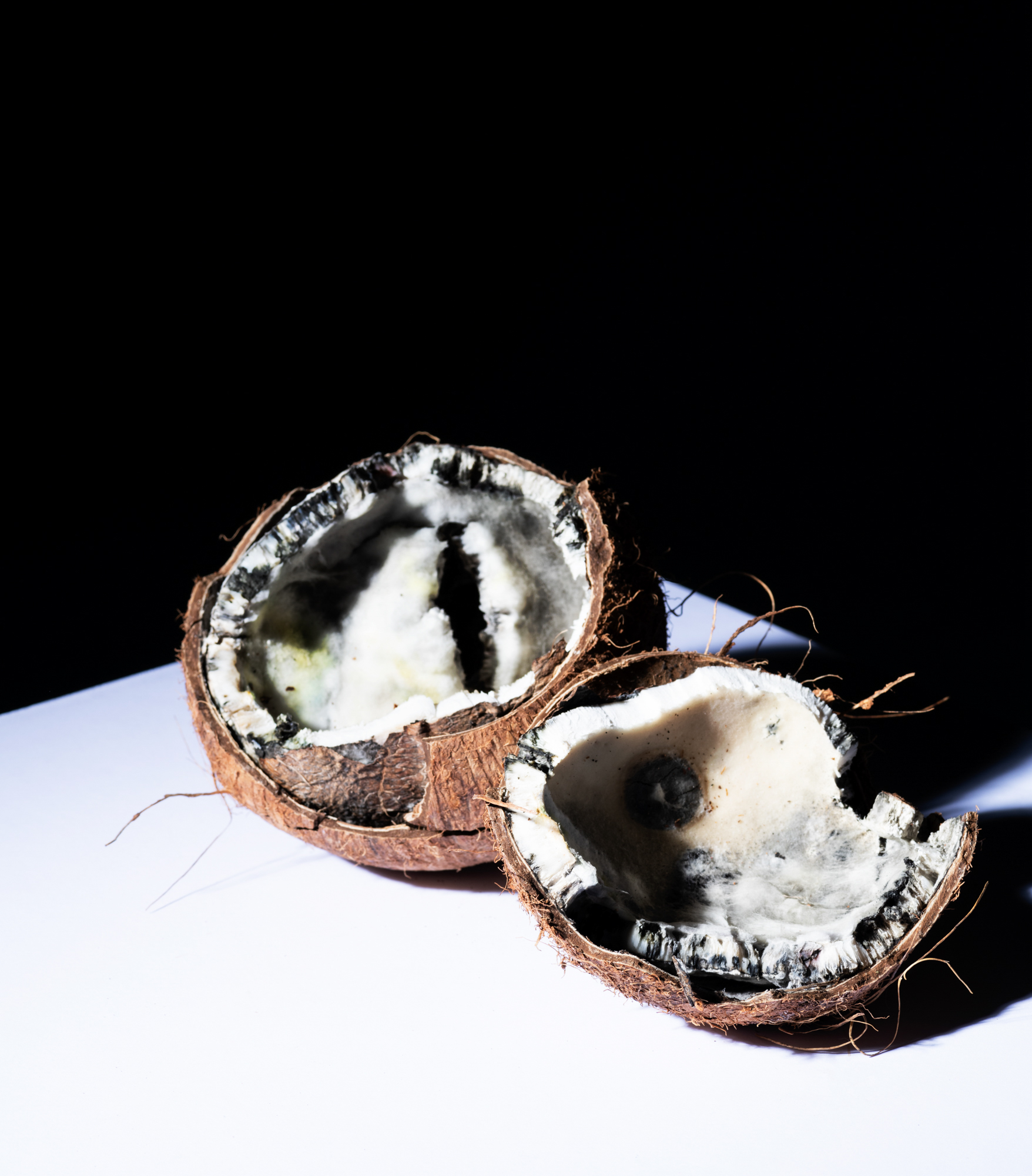 A split-open coconut.