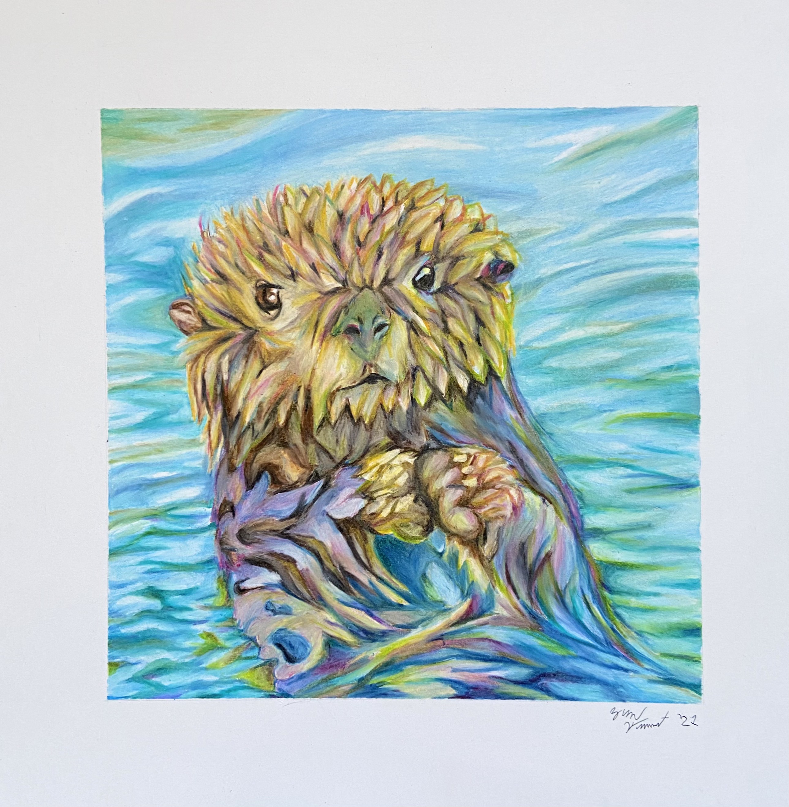 An illustration of a sea otter.