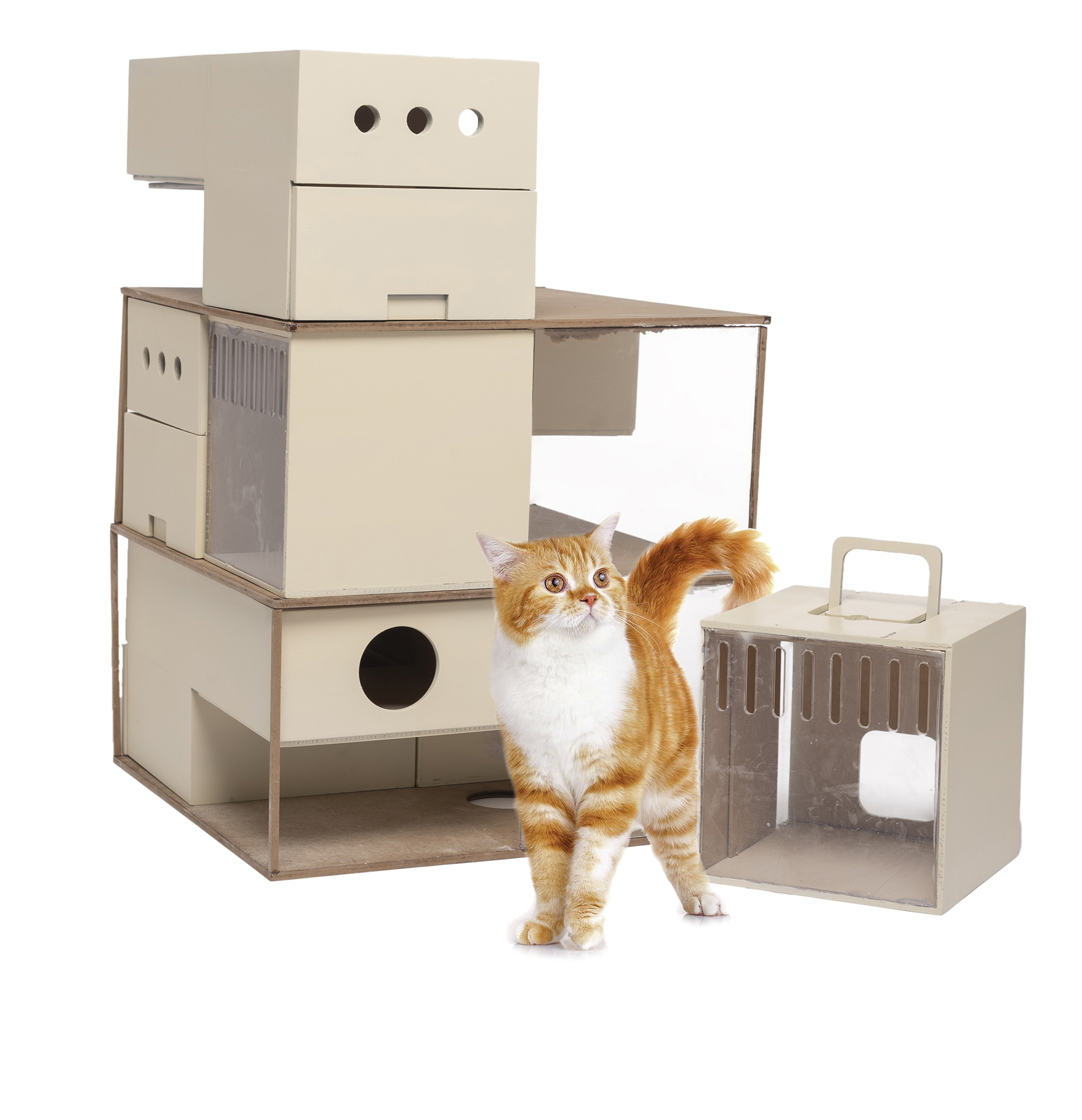 A cat stands next to an intricate litter box setup.