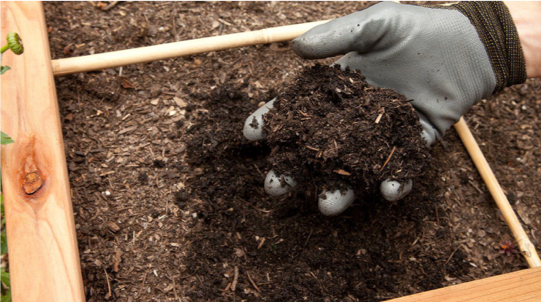 Compost - Product of composting. Photo: Grow Organic