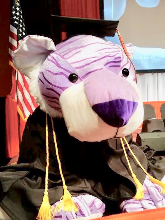 A purple tiger mascot wears regalia.