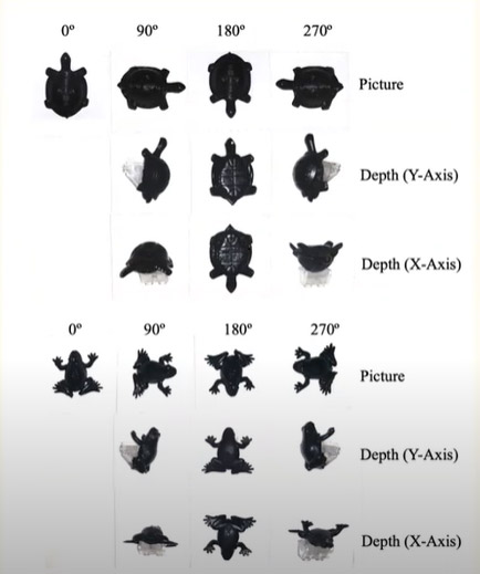 black and white chart of a figure of a turtle and a frog in different orientations.