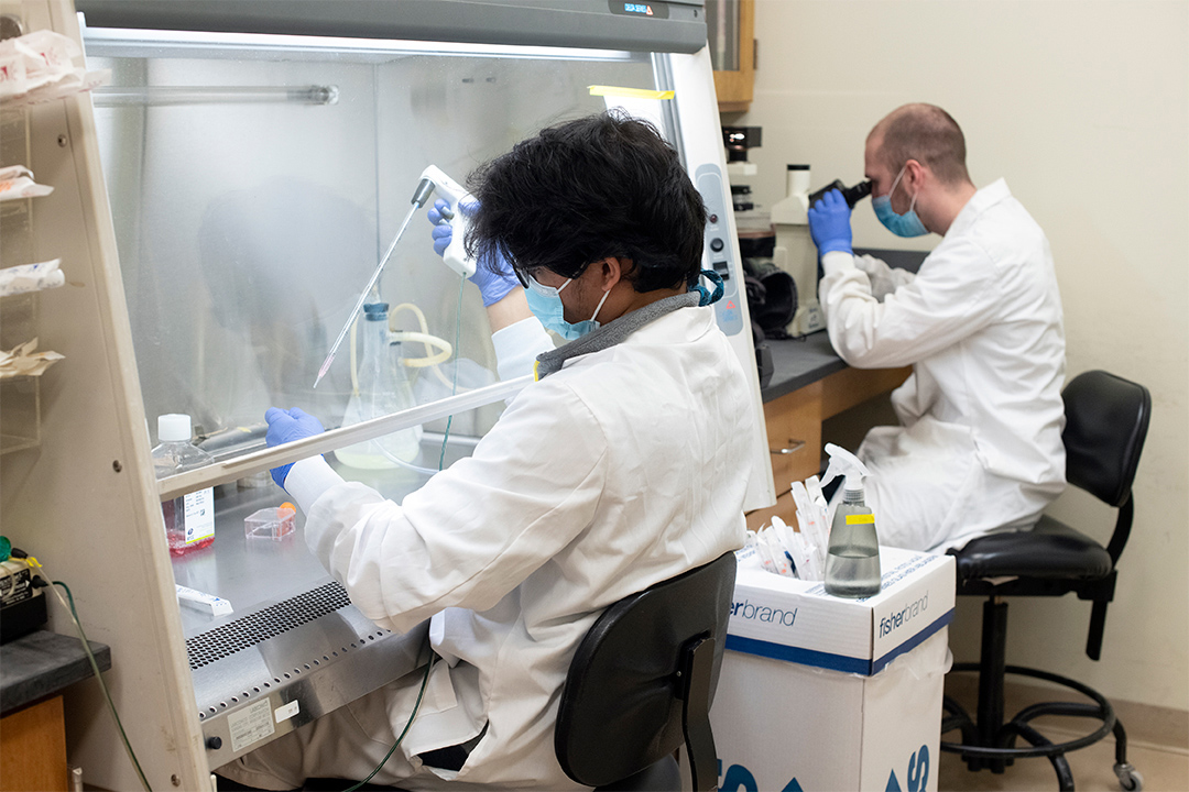 students using a pipette and microscope in a lab.