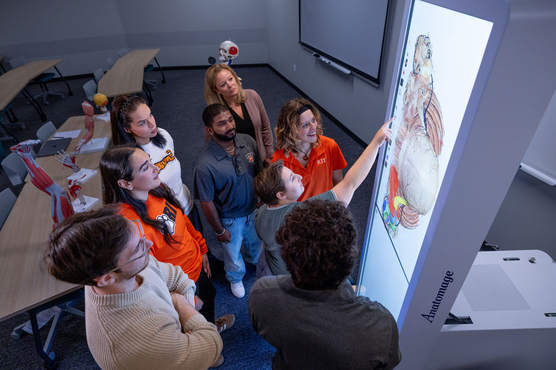 RIT doctoral student Adira Blumenthal, center, isolates and examines anatomical structures and relationships on the digital anatomy table, while Marcia Shea, assistant clinical professor in RIT’s occupational therapy program, looks on.