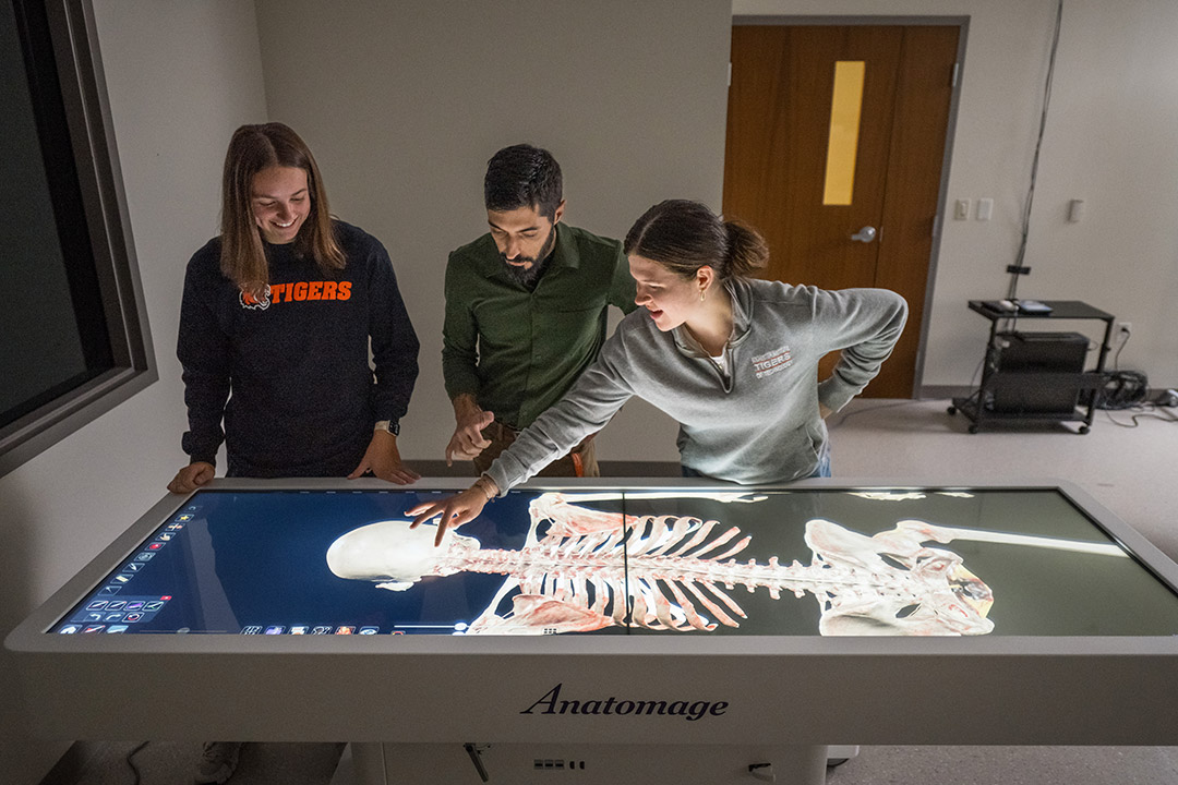 students stand in front of a digital anatomy table exploring its capabilities.