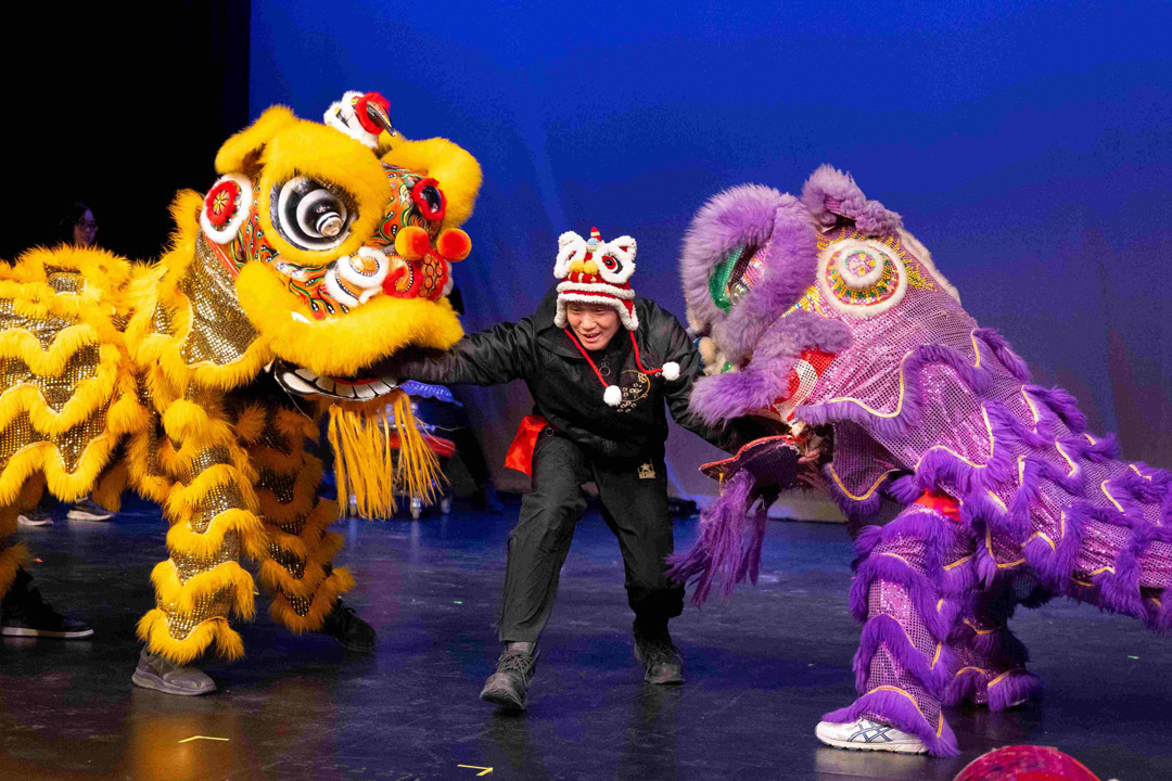 Studnts perform traditional Chinese lion dancing on stage in an elaborate costume.
