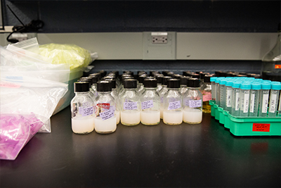 Bottles of agarose gel and tubes of TAE Buffer