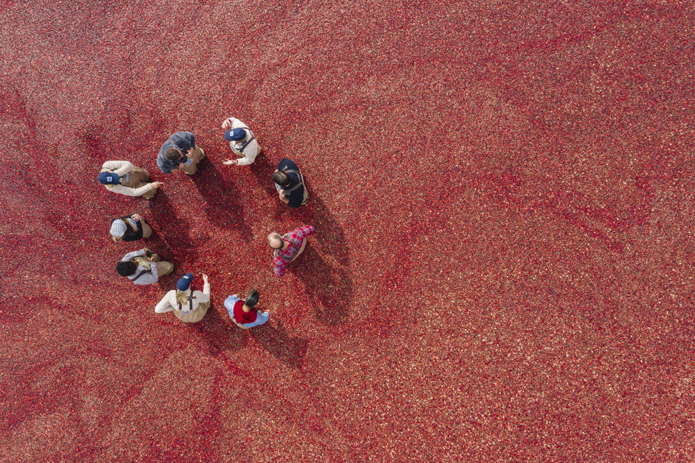 An overhead shot of a group of people standing in a circle.