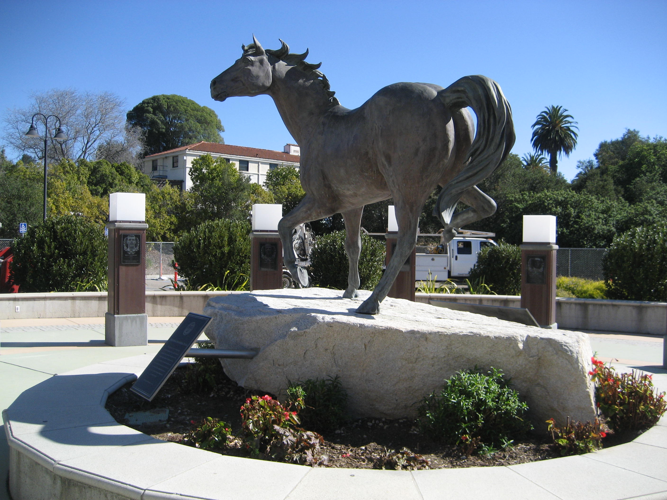 Cal Poly's mascot, a mustang horse