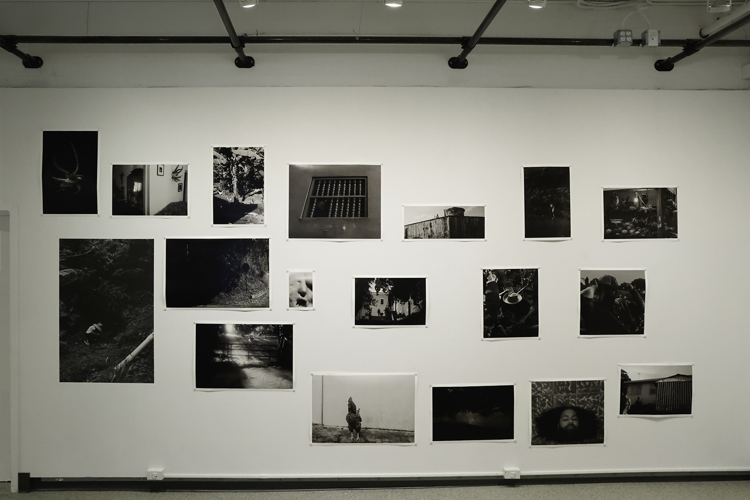 A collection of images on a gallery wall.