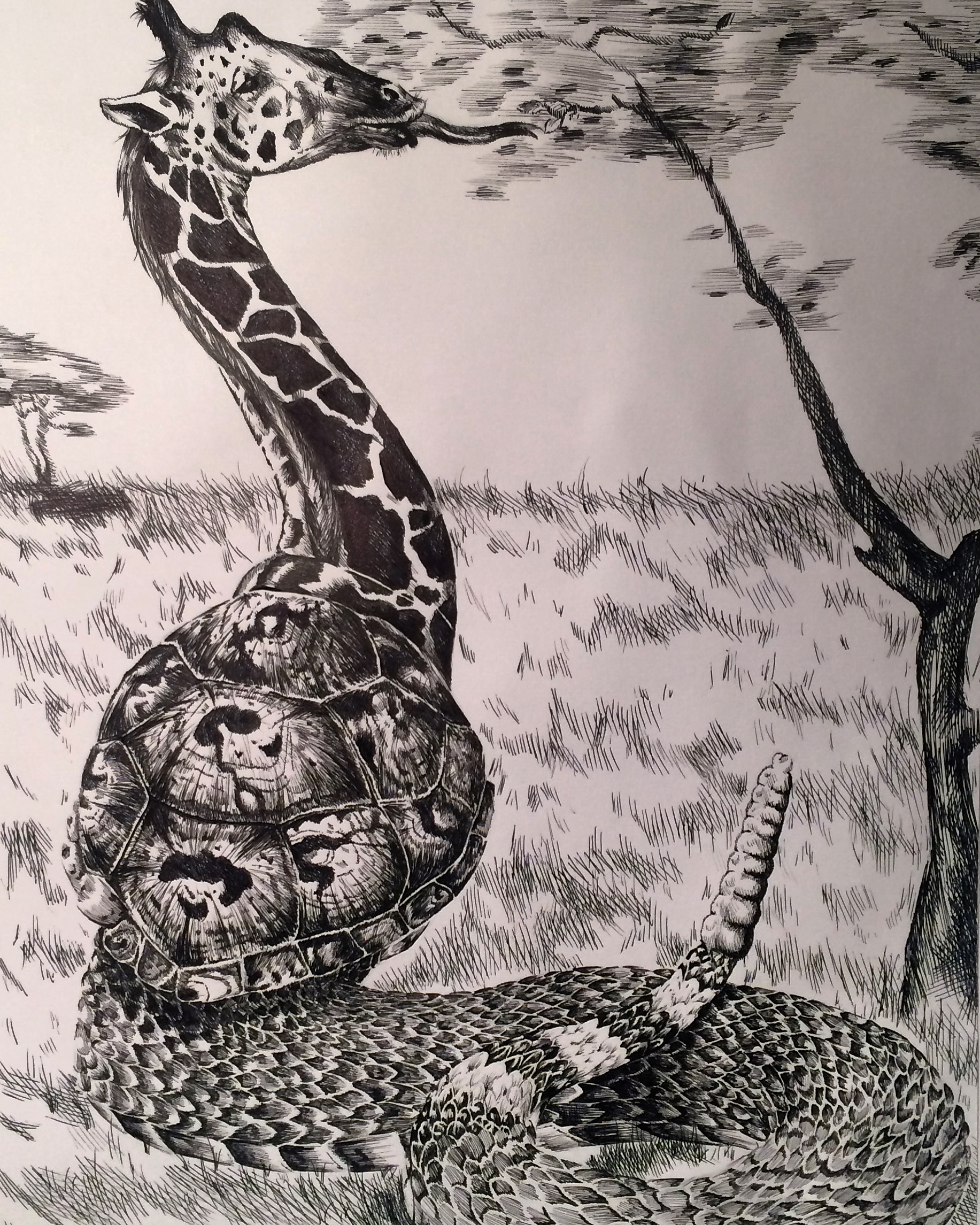 Drawing of Giraffe-Turtle-Rattlesnake combo