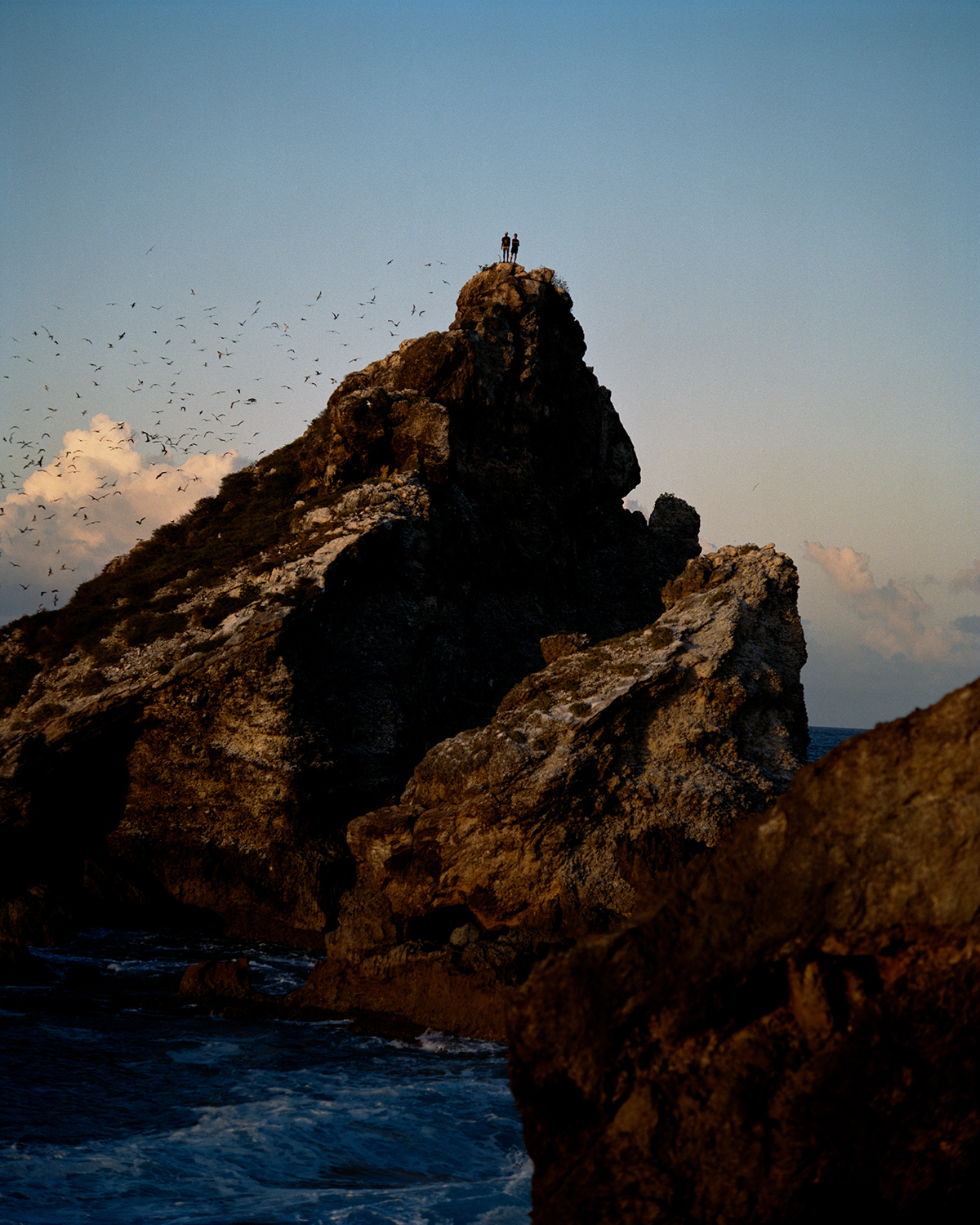 Two people stand on a mountain near water, with a throng of birds flying around.