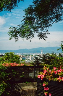 Scenic view in Japan with trees and mountains.