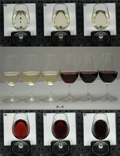 comparison of red and white wines