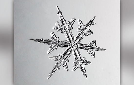 Picture of snowflake under microscope