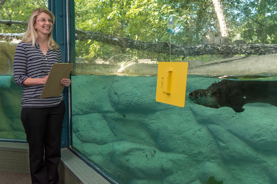 Woman stands with clipboard in front of the otter exhibit at Seneca Park Zoo.