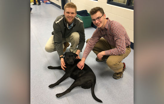 Sean and Will pet a medium-sized black puppy who is laying on the floor. The puppy is missing one of her back legs.