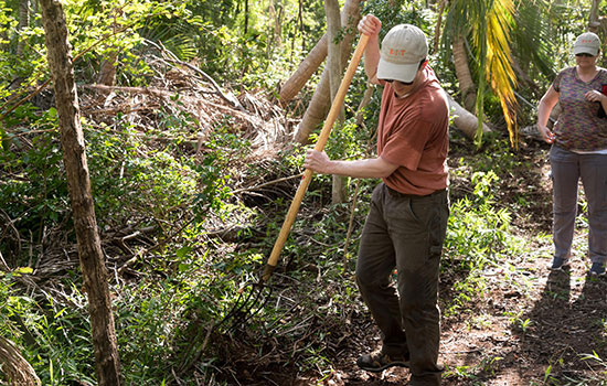Man clearing a path with a rake at a nature preserve.