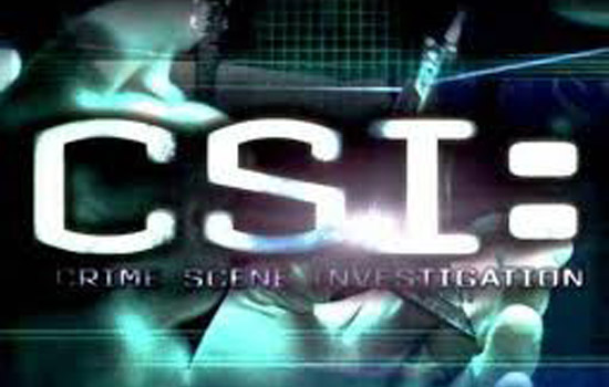 Logo for CSI