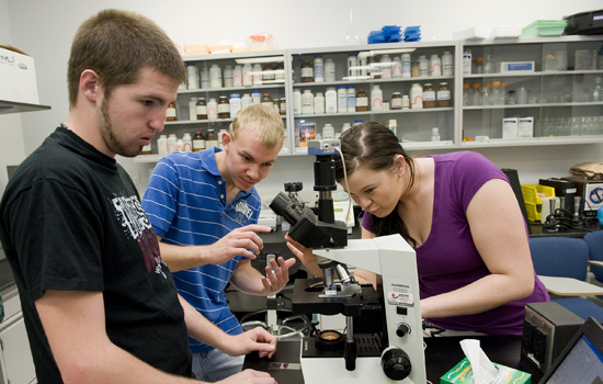 People working with microscope in laboratory 