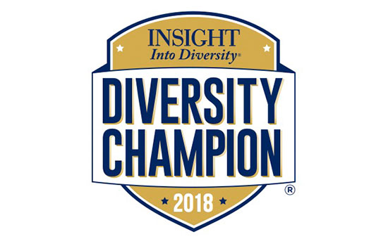 Logo of a shield with text that says "Insight into diversity, Diversity champion, 2018".