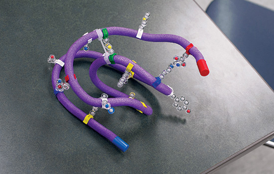 Diagram of molecule