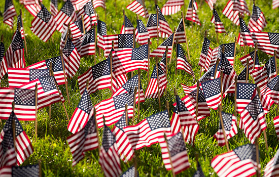 Small American flags in grass field