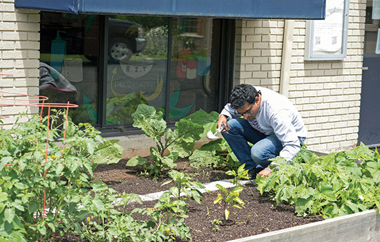 Person working in garden